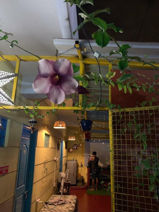 The Little Blue Window Hostel Bangalore Exterior photo